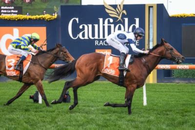 quinella calculator|what is a quinella box.